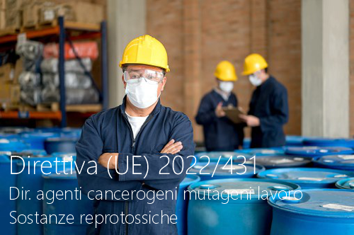 Direttiva UE 2022 431 Direttiva UE 2022 431