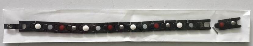 A110012521 A110012521