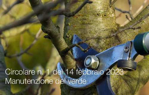 Circolare n 1 del 14 febbraio 2023 Manutenzione del verde Circolare n 1 del 14 febbraio 2023 Manutenzione del verde