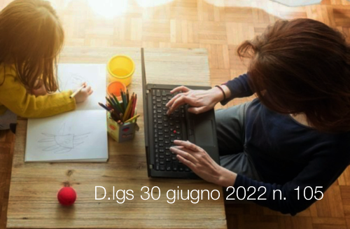 D lgs 30 giugno 2022 n 105 D lgs 30 giugno 2022 n 105