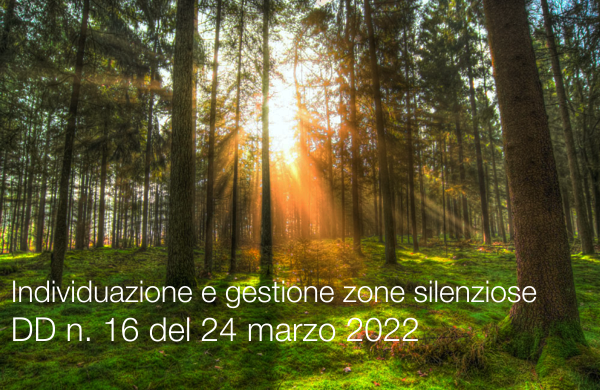 DD n 16 del 24 marzo 2022 Individuazione e gestione zone silenziose DD n 16 del 24 marzo 2022 Individuazione e gestione zone silenziose