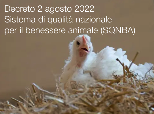 Decreto 2 agosto 2022 Decreto 2 agosto 2022