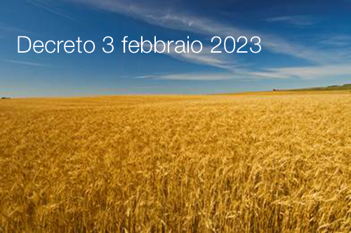 Decreto 3 febbraio 2023 Decreto 3 febbraio 2023