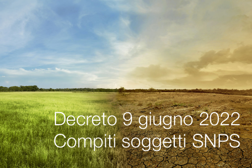 Decreto 9 giugno 2022 Compiti soggetti SNPS Decreto 9 giugno 2022 Compiti soggetti SNPS