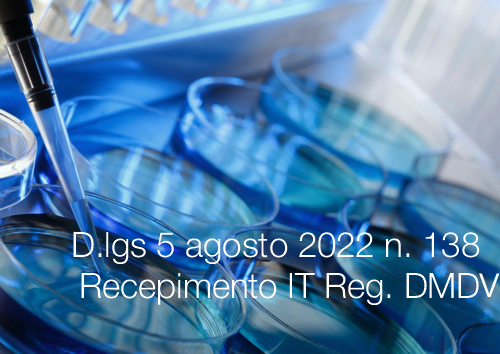 Decreto Legislativo 5 agosto 2022 n 138 DMDV Decreto Legislativo 5 agosto 2022 n 138 DMDV