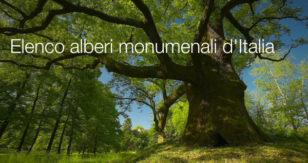 Elenco alberi monumenali d Italia Elenco alberi monumenali d Italia