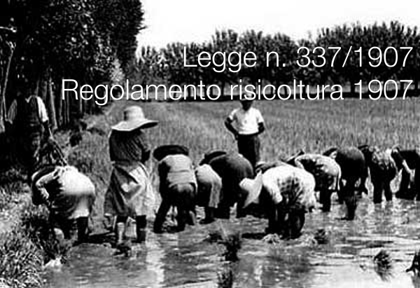 Legge 16 giugno 1907 n 337 Legge 16 giugno 1907 n 337