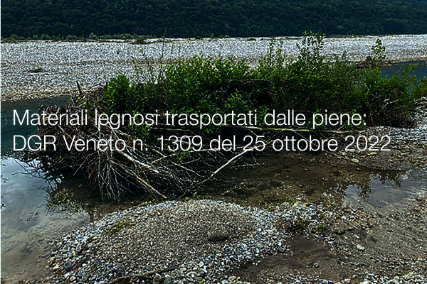 Materiali legnosi trasportati dalle piene DGR Veneto n 1309 del 25 ottobre 2022 Materiali legnosi trasportati dalle piene DGR Veneto n 1309 del 25 ottobre 2022