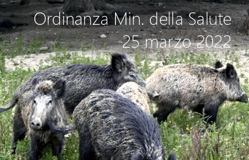 Ordinanza Min della Salute 25 marzo 2022 Ordinanza Min della Salute 25 marzo 2022