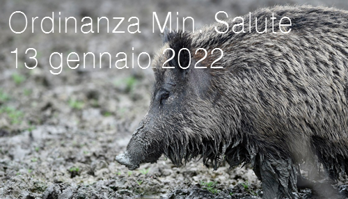 Ordinanza Min Salute 13 gennaio 2022 Ordinanza Min Salute 13 gennaio 2022