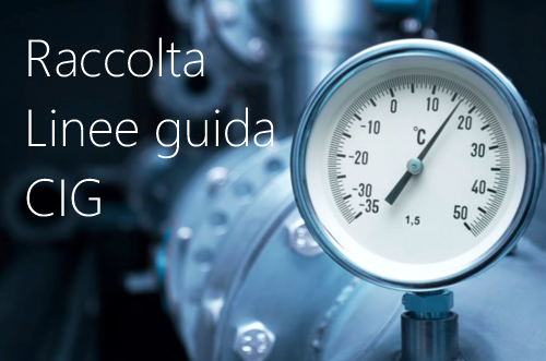 Raccolta Linee guida CIG 2022 Raccolta Linee guida CIG 2022