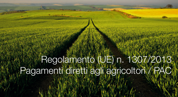 Regolamento UE n 1307 2013 Regolamento UE n 1307 2013