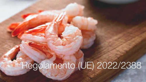 Regolamento UE 2022 2388 Regolamento UE 2022 2388