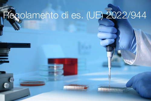 Regolamento di es UE 2022 944 Regolamento di es UE 2022 944