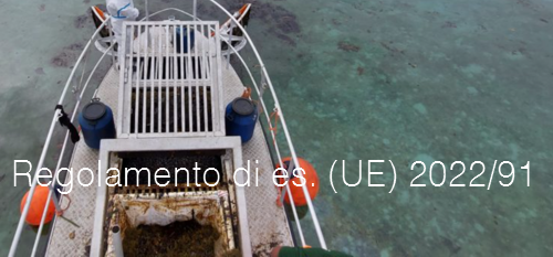 Regolamento di esecuzione 2022 91 Regolamento di esecuzione 2022 91
