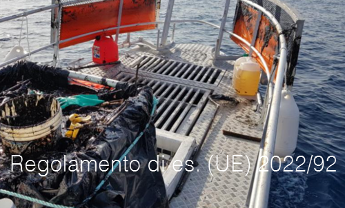 Regolamento di esecuzione 2022 92 Regolamento di esecuzione 2022 92