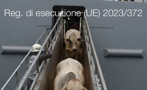Regolamento di esecuzione UE 2023 372 Regolamento di esecuzione UE 2023 372