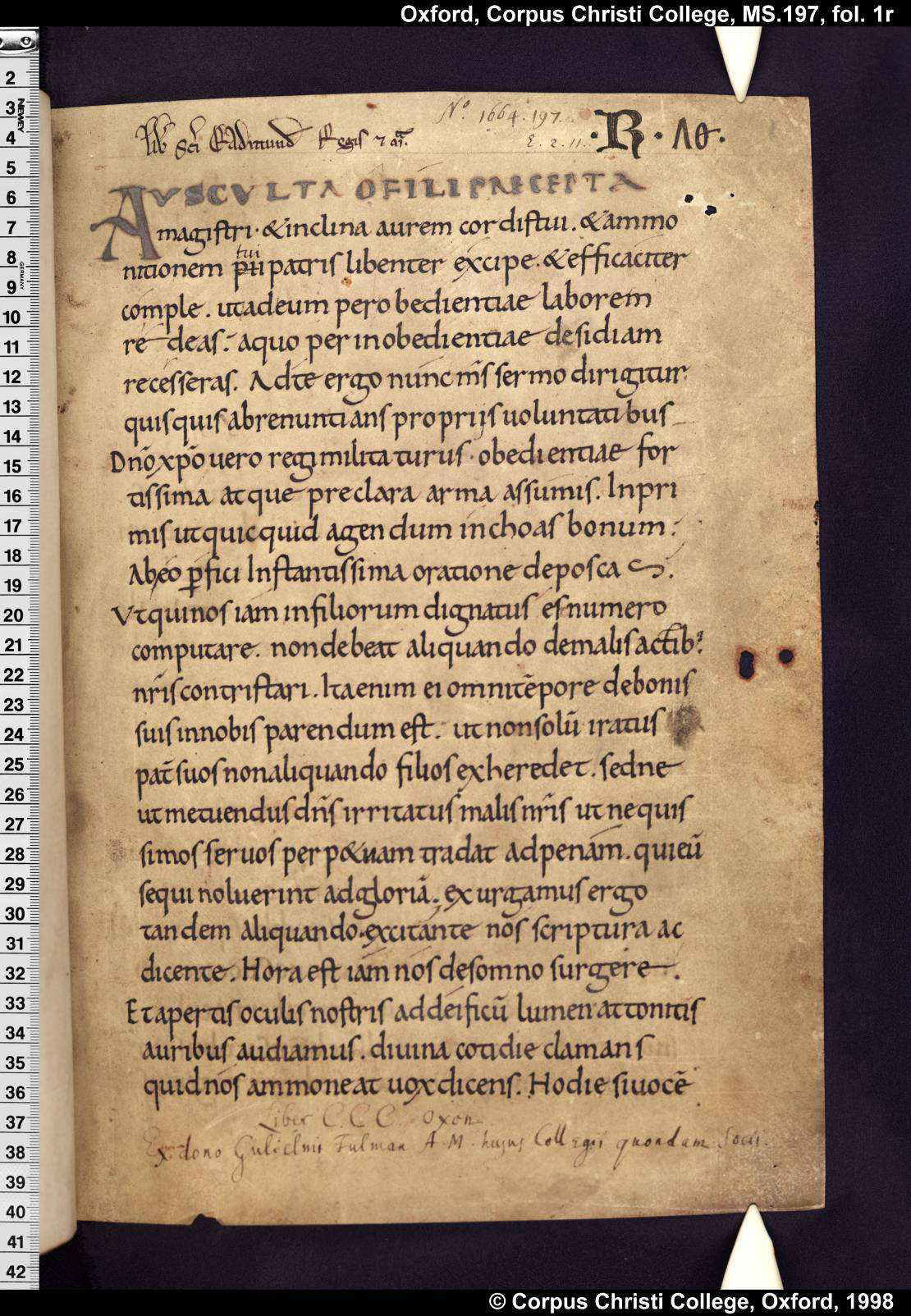 Riproduzione fotografica RSB Riproduzione fotografica RSB