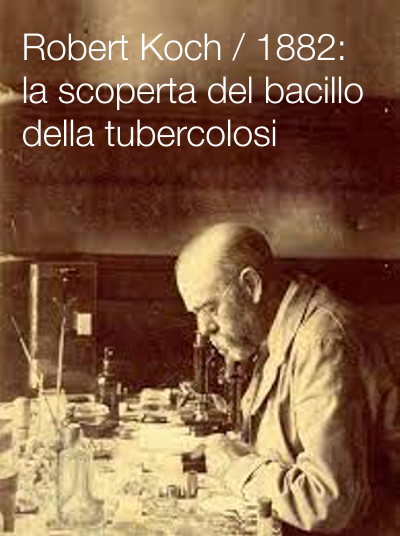 Robert Koch 1882 la scoperta del bacillo della tubercolosi Robert Koch 1882 la scoperta del bacillo della tubercolosi