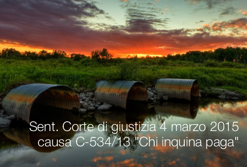 Sentenza Corte di giustizia del 4 marzo 2015 causa C 534 13 Sentenza Corte di giustizia del 4 marzo 2015 causa C 534 13