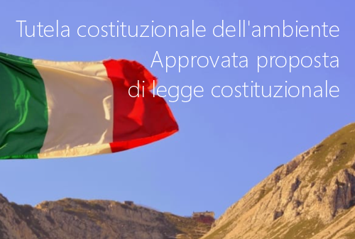 Tutela costituzionale ambiente Tutela costituzionale ambiente
