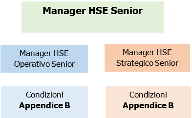 UNI 11720 Il Manager HSE 03 UNI 11720 Il Manager HSE 03