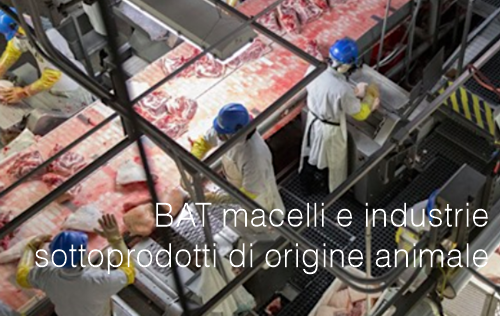 BAT macelli e industrie dei sottoprodotti di origine animale BAT macelli e industrie dei sottoprodotti di origine animale