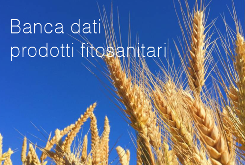 Banca dati dei prodotti fitosanitari Banca dati dei prodotti fitosanitari