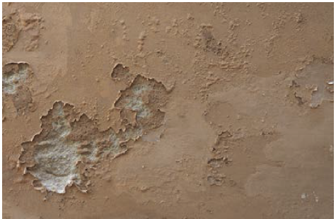 Dampness and Mold Assessment Tool 00 Dampness and Mold Assessment Tool 00