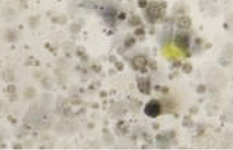 Dampness and Mold Assessment Tool 02 Dampness and Mold Assessment Tool 02