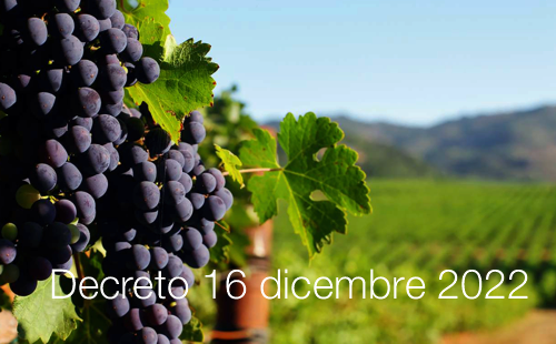 Decreto 16 dicembre 2022 Decreto 16 dicembre 2022