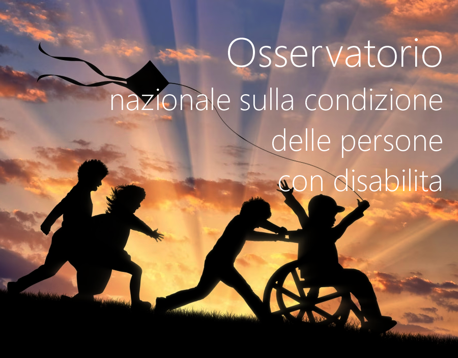 Osservatorio nazionale sulla condizione delle persone con disabilita Osservatorio nazionale sulla condizione delle persone con disabilita