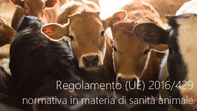 Regolamento UE 2016 429 Regolamento UE 2016 429