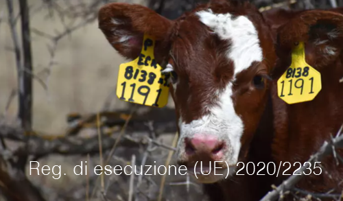 Regolamento di esecuzione UE 2020 2235 Regolamento di esecuzione UE 2020 2235