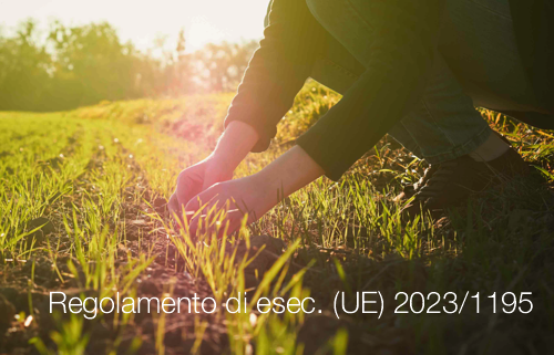 Regolamento di esecuzione UE 2023 1195 Regolamento di esecuzione UE 2023 1195