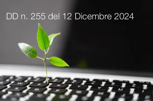 DD n 255 del 12 Dicembre 2024 DD n 255 del 12 Dicembre 2024