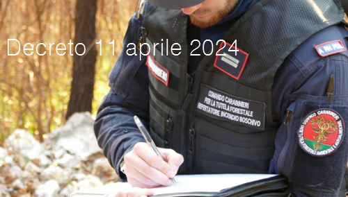 Decreto 11 aprile 2024 Decreto 11 aprile 2024