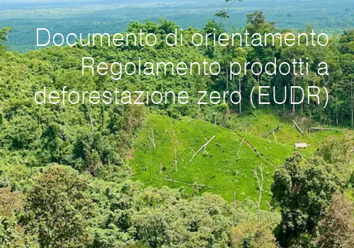 Documento di orientamento Regolamento prodotti a deforestazione zero Documento di orientamento Regolamento prodotti a deforestazione zero