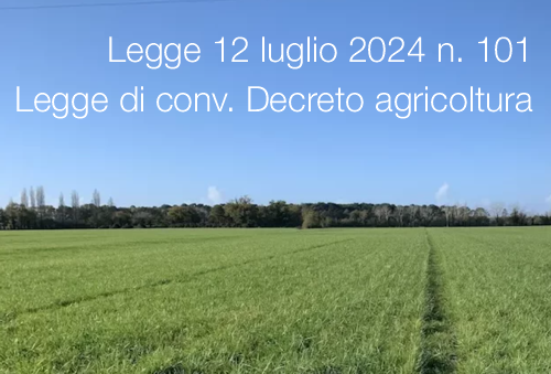 Legge 12 luglio 2024 n 101 Legge 12 luglio 2024 n 101