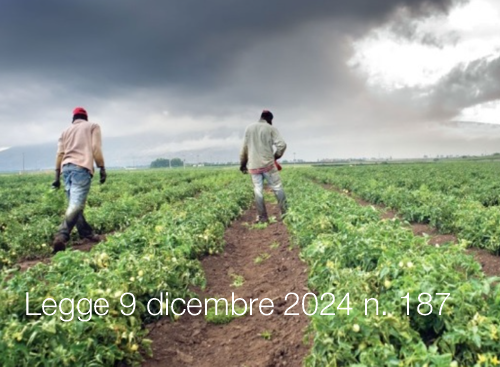 Legge 9 dicembre 2024 n 187 Legge 9 dicembre 2024 n 187