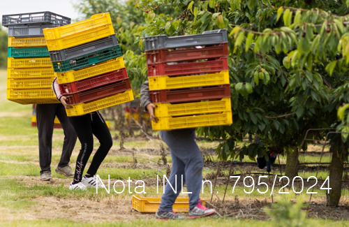 Nota INL 795 2024 Nota INL 795 2024