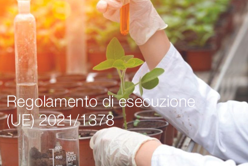 Regolamento di esecuzione UE 2021 1378 Regolamento di esecuzione UE 2021 1378