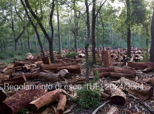Regolamento di esecuzione UE 2024 3084 Regolamento di esecuzione UE 2024 3084