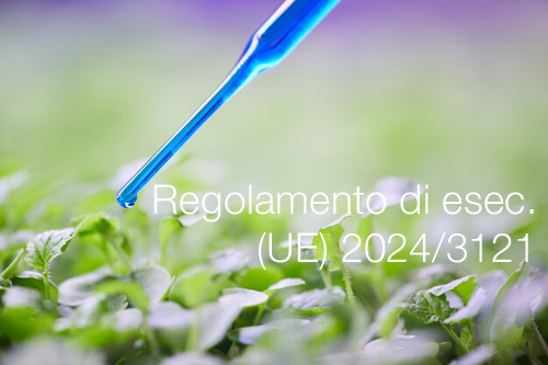 Regolamento di esecuzione UE 2024 3121 Regolamento di esecuzione UE 2024 3121
