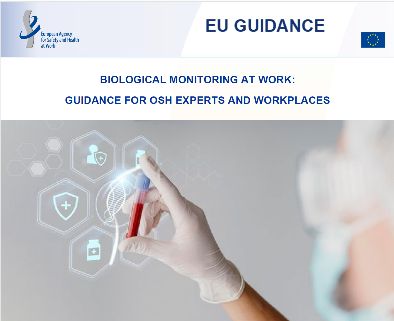 BIOLOGICAL MONITORING AT WORK GUIDANCE FOR OSH EXPERTS AND WORKPLACES