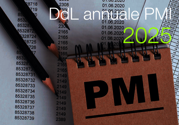 DdL annuale PMI 2025 DdL annuale PMI 2025