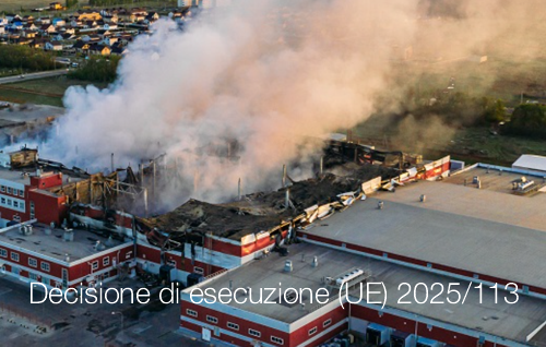 Decisione di esecuzione UE 2025 113 Decisione di esecuzione UE 2025 113