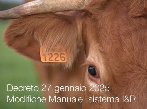 Decreto 27 gennaio 2025 Modifiche Manuale operativo sistema I R Decreto 27 gennaio 2025 Modifiche Manuale operativo sistema I R