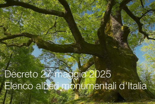 Decreto 27 maggio 2025 Elenco alberi monumentali d Italia Decreto 27 maggio 2025 Elenco alberi monumentali d Italia
