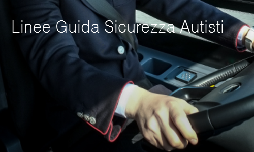 Linee Guida Sicurezza Autisti Linee Guida Sicurezza Autisti